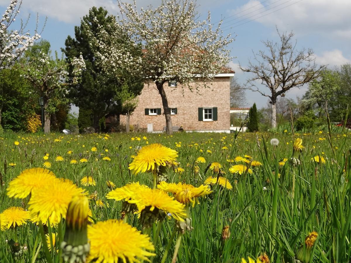 Landhaus Loewenzahn Unteregg Εξωτερικό φωτογραφία